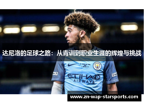 达尼洛的足球之路：从青训到职业生涯的辉煌与挑战