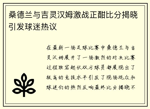 桑德兰与吉灵汉姆激战正酣比分揭晓引发球迷热议